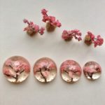 ミニチュアクリスタル桜　
