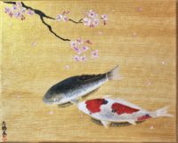 日本画　錦鯉と桜