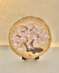 絵皿　桜